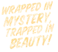 Wrapped in Mystery, Trapped in Beauty!